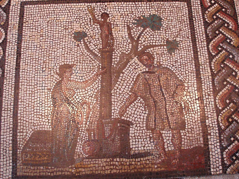 P1010047