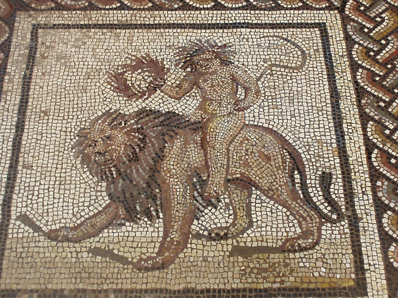 P1010048