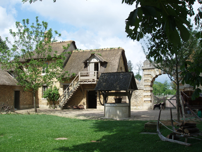 P1010063