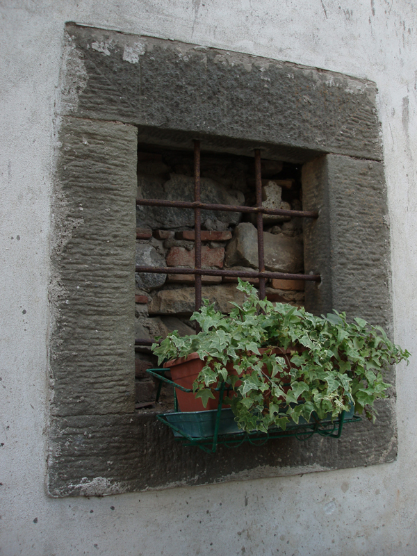 P1010237