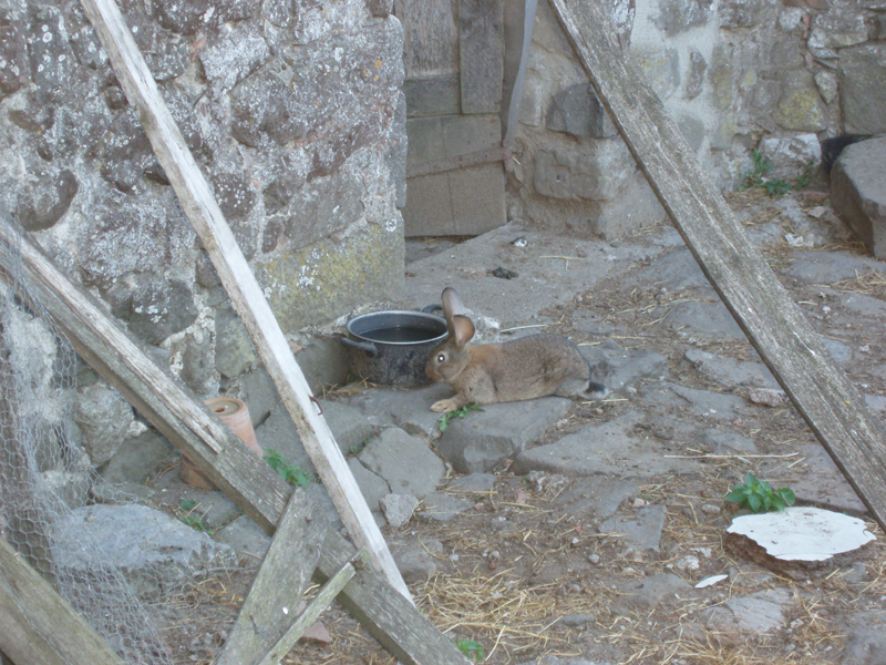 P1010256