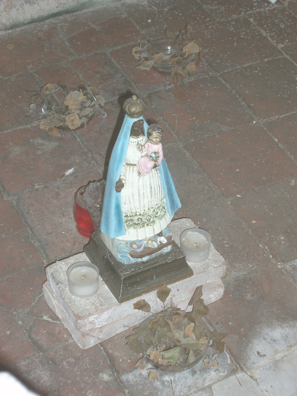 P1010281