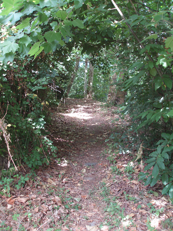 P1010283