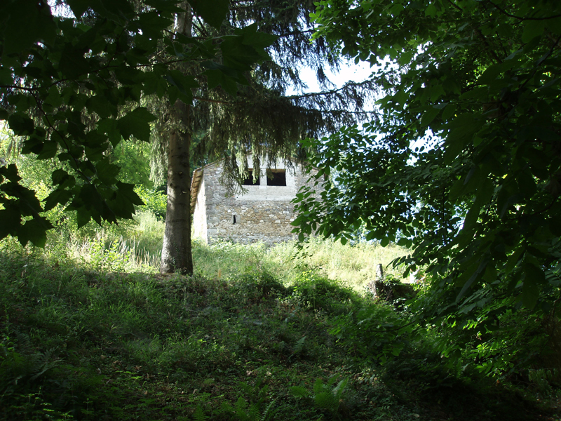 P1010284
