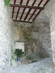 P1010229