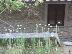 P1010295