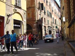 lucca006